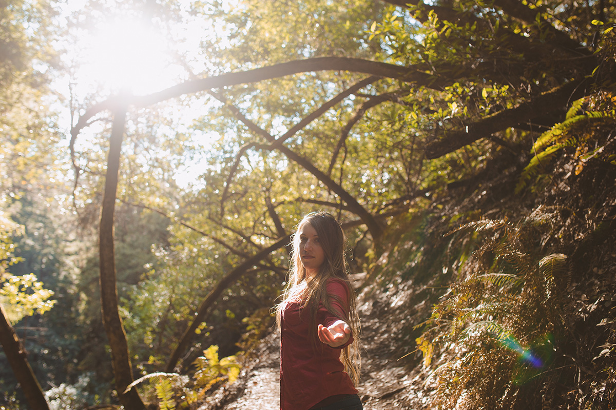 Muir Woods national park California portrait