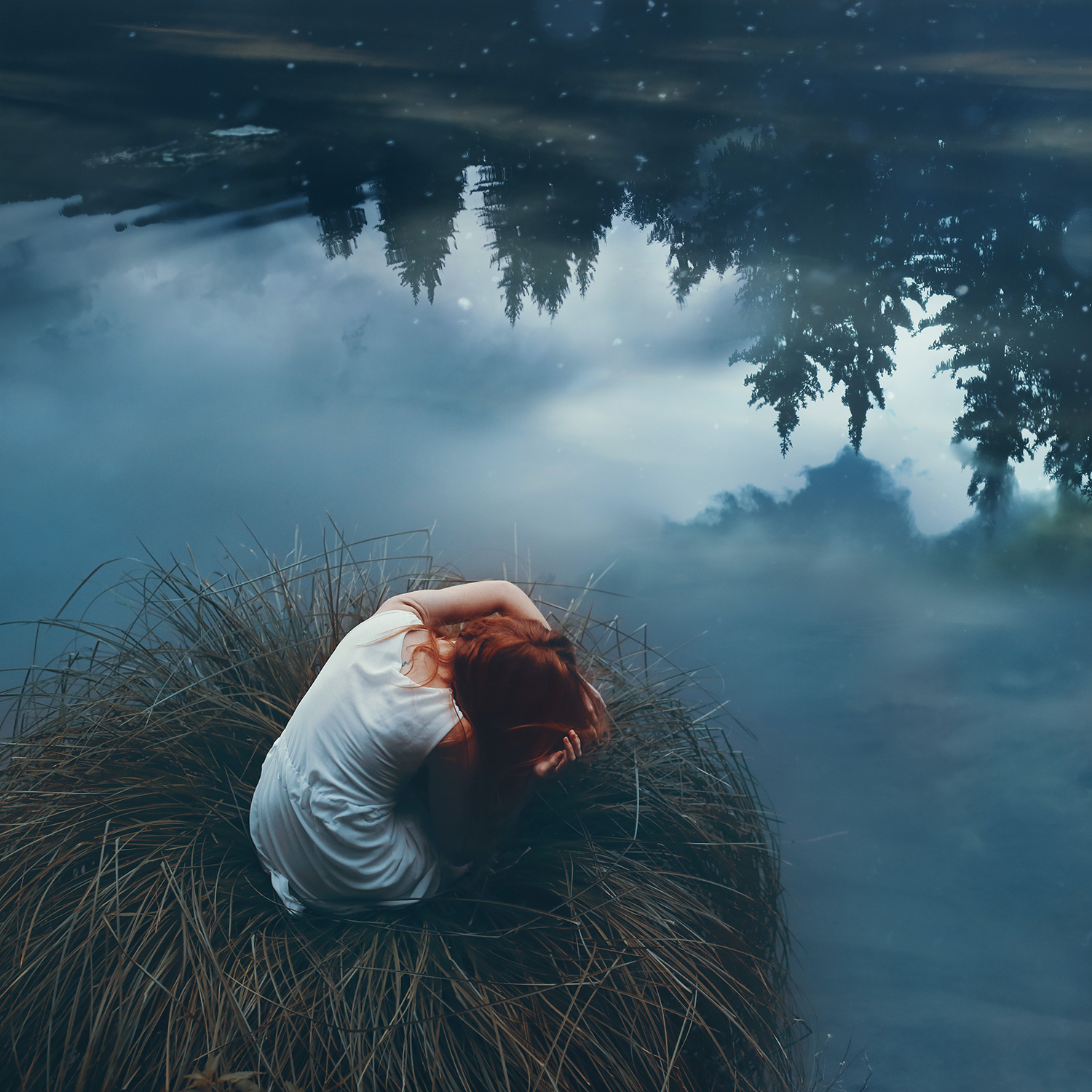 Raphaelle Monvoisin Dawning of a New Day, botanical nest
