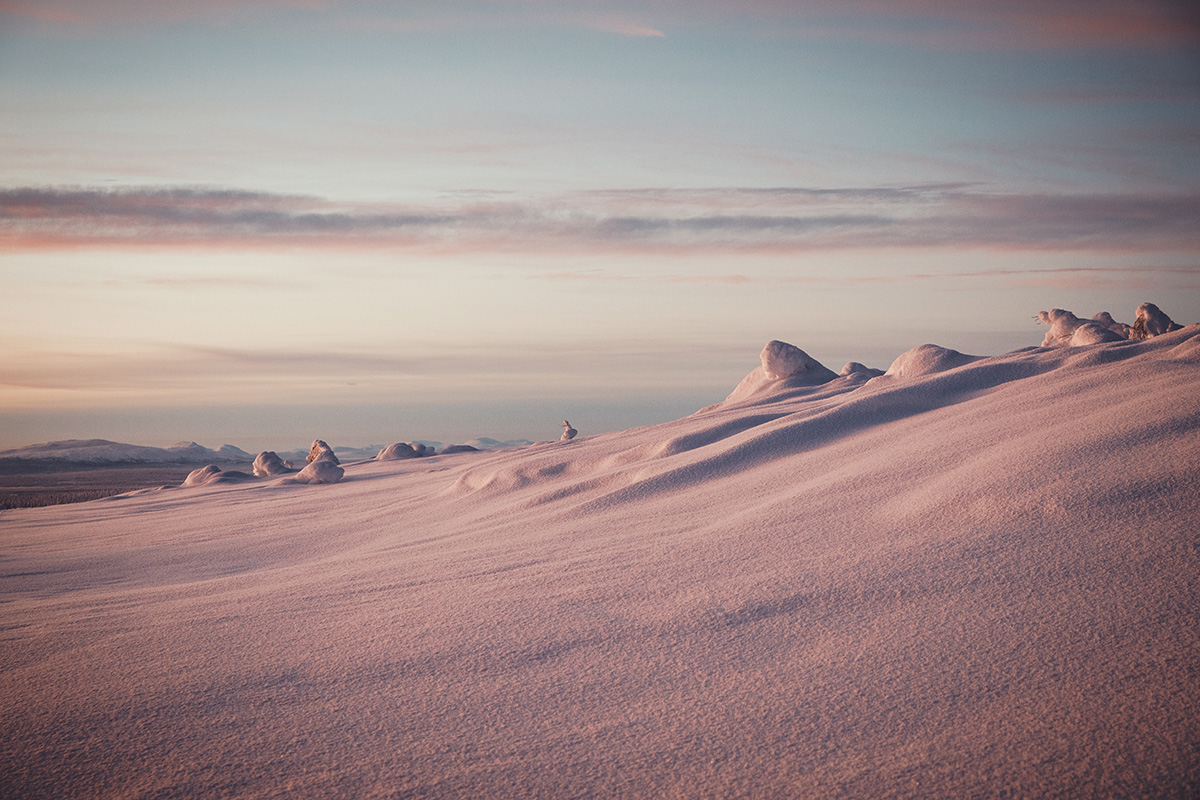 Pink snow Boreal forest Lapland Raphaelle Monvoisin