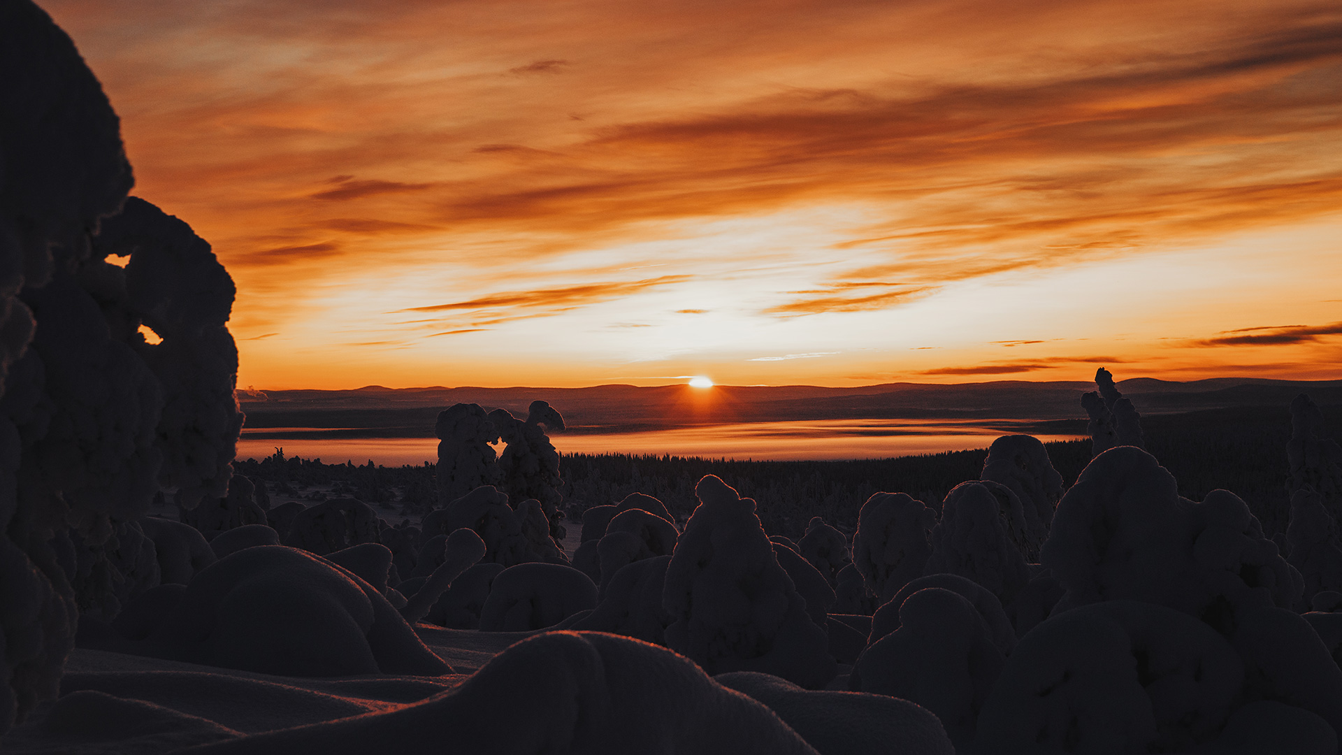 Lapland sunset forest Raphaelle Monvoisin