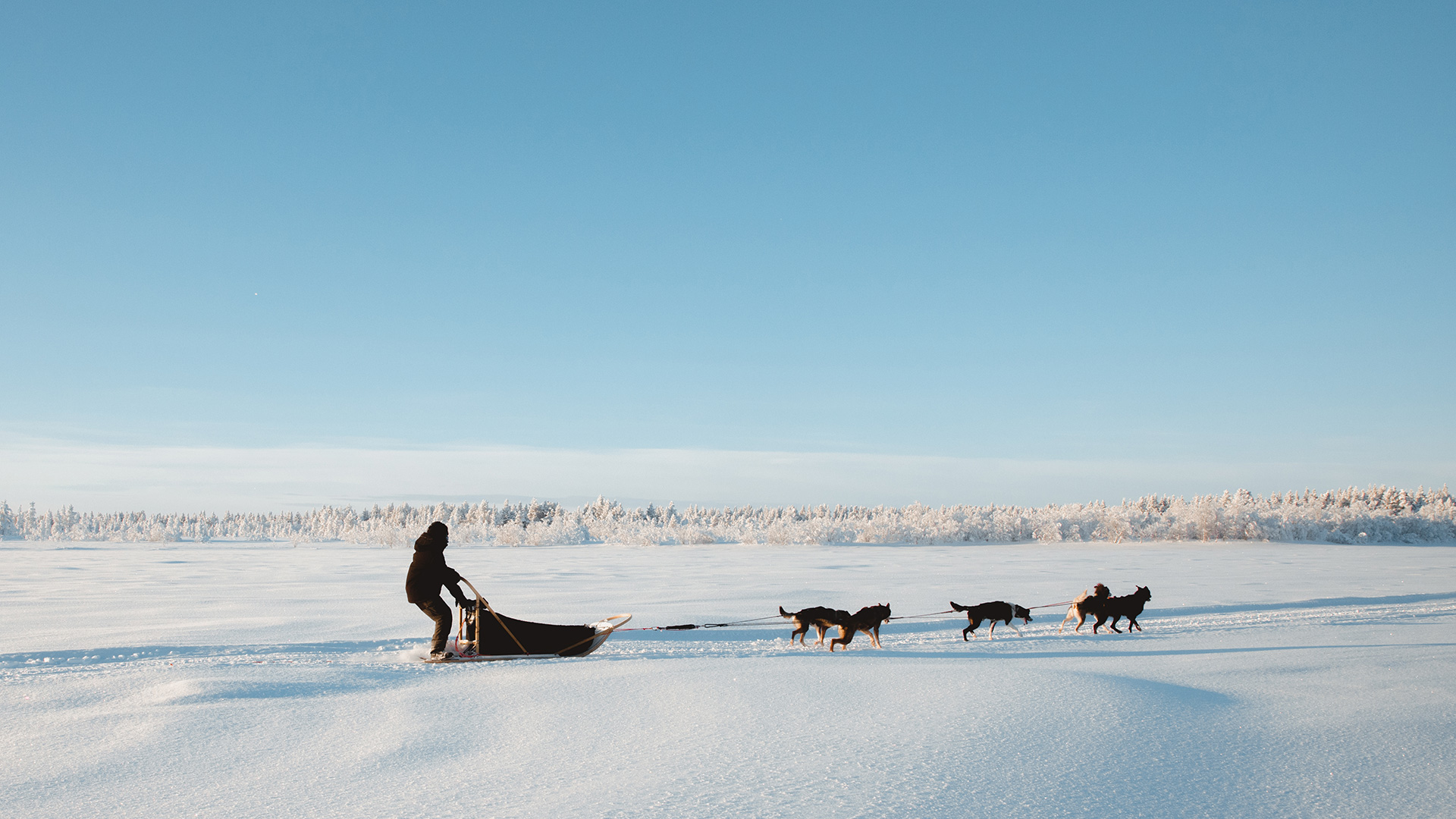 Hetta Huskies sleddog Raphaelle Monvoisin