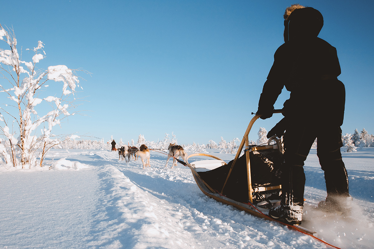 Hetta Huskies sleddog Raphaelle Monvoisin