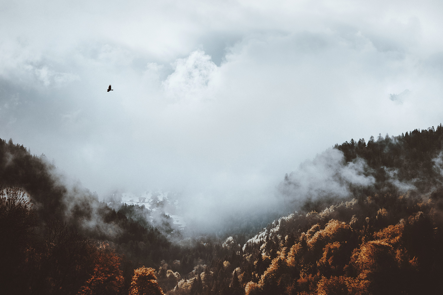 nature wilderness alps mountains forest