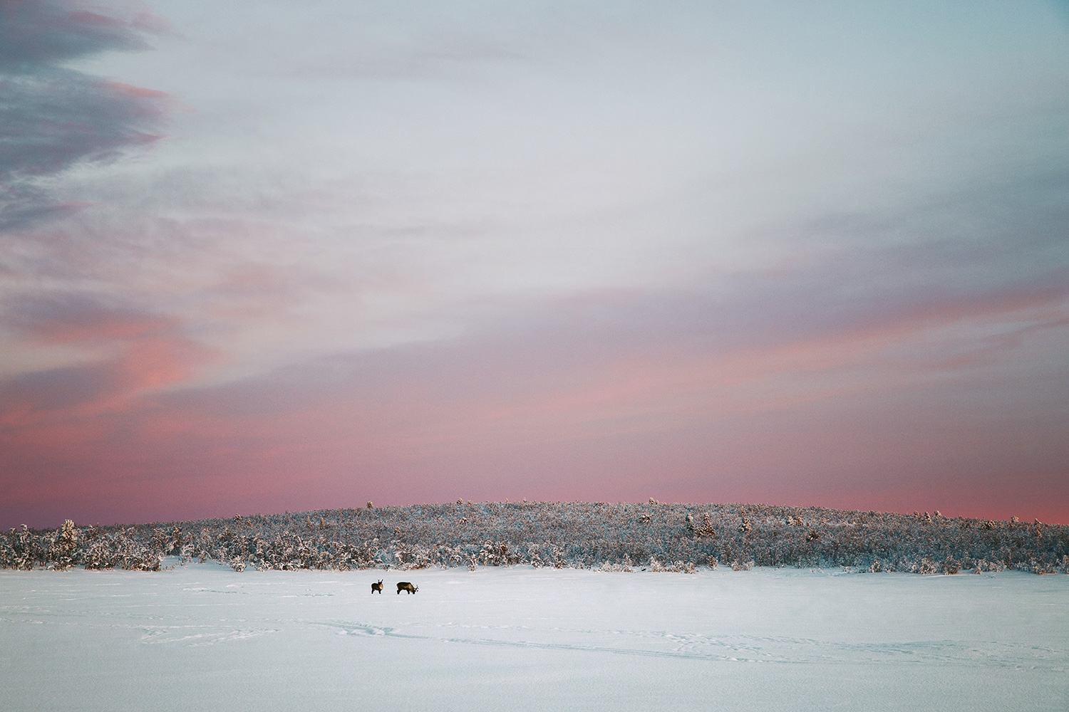 Raphaelle Monvoisin light dawn dusk nature wilderness wildscape photography landscape