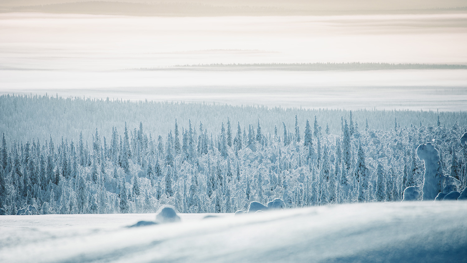 Raphaelle Monvoisin iceland lapland ashen landscape winter wildscape white grey snow photography