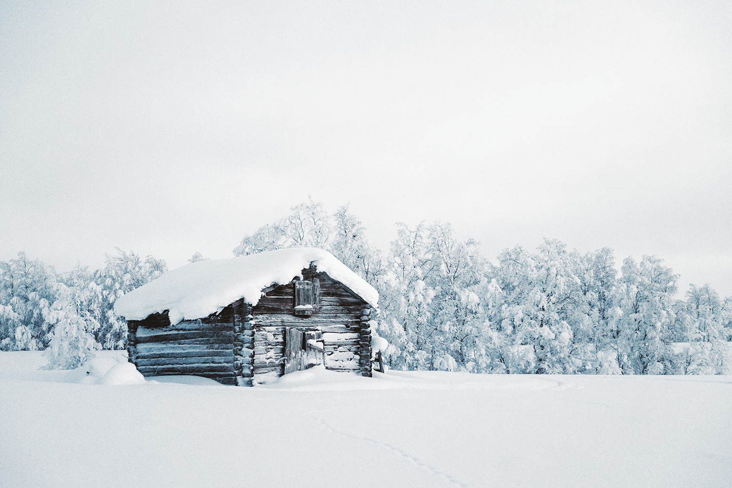 Raphaelle Monvoisin iceland lapland ashen landscape winter wildscape white grey snow photography