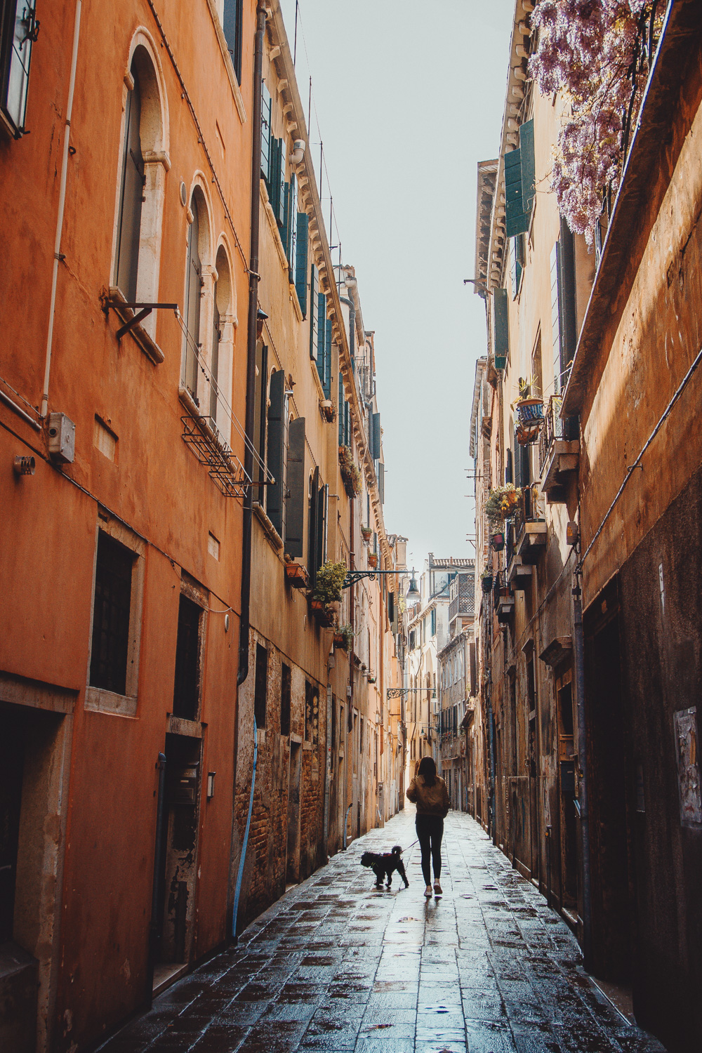 Raphaelle Monvoisin Venezia photo workshop canon eos RP photography italy