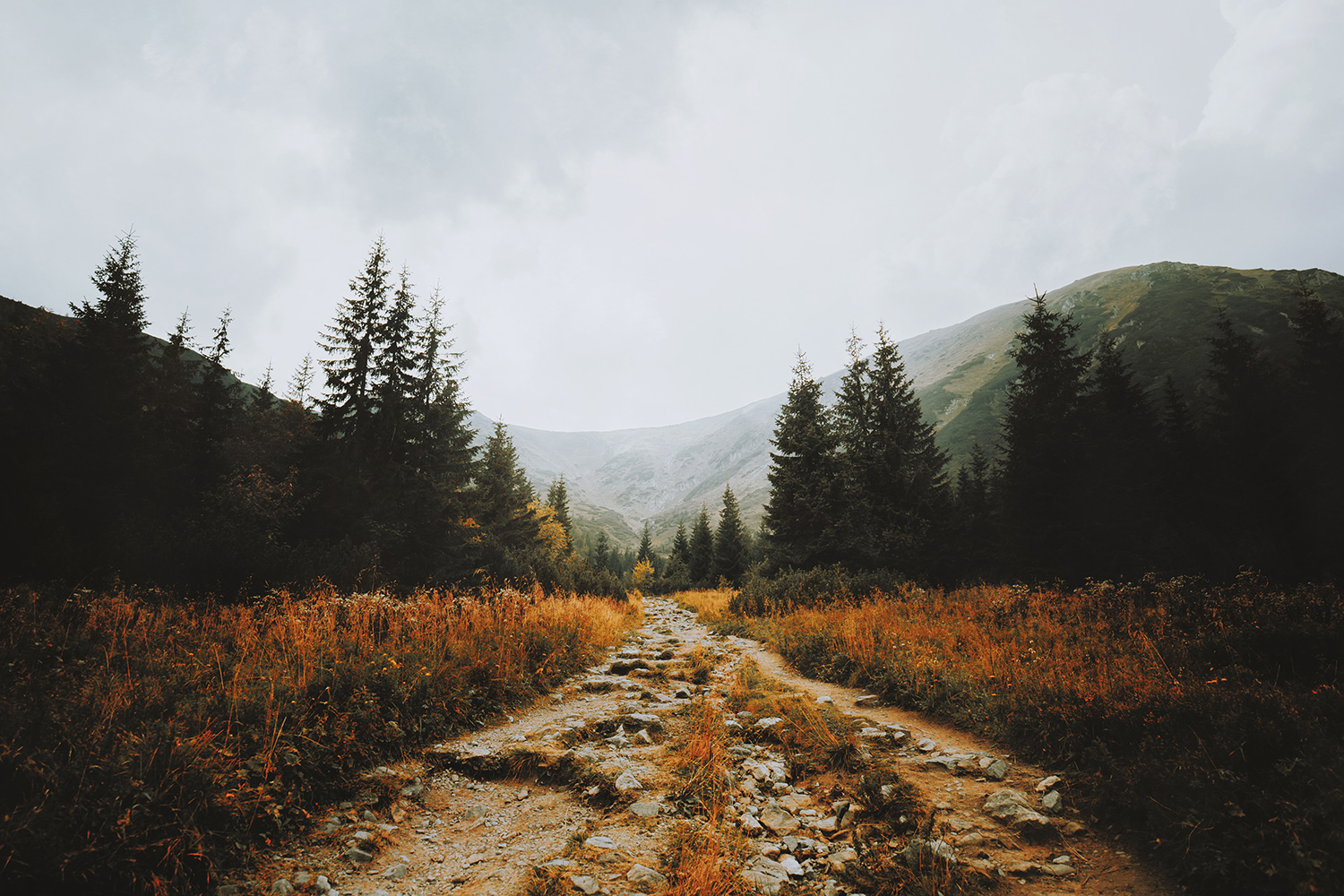 Raphaelle-Monvoisin–The-Fall-of-Summer