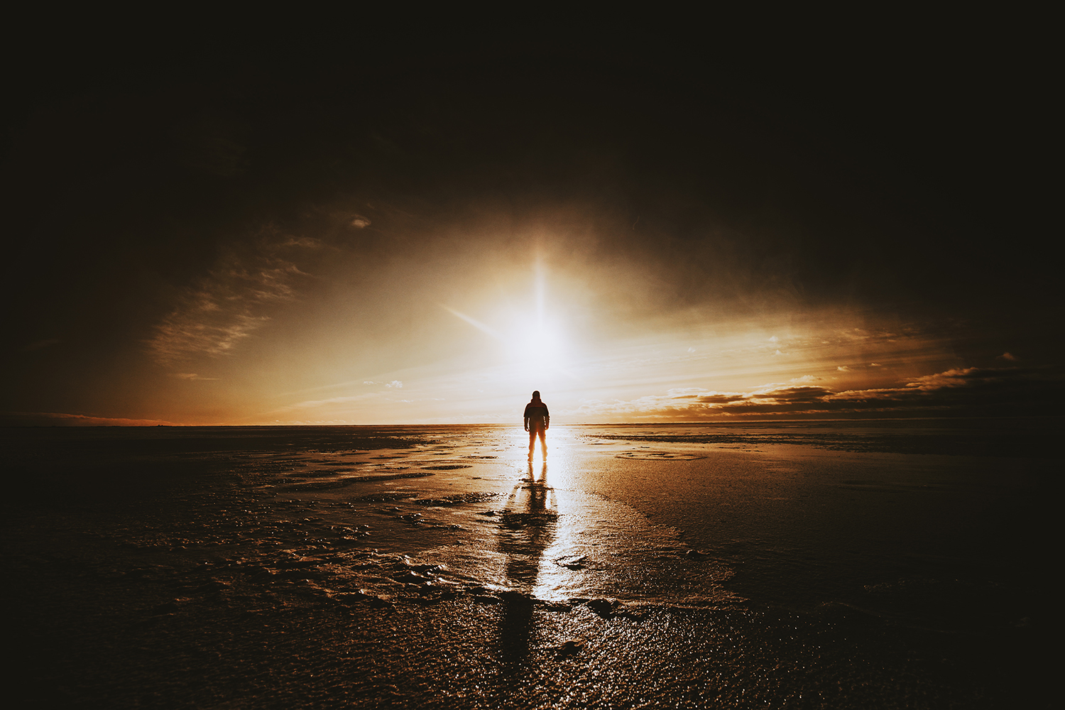 Raphaelle-Monvoisin–a-sun-in-the-night