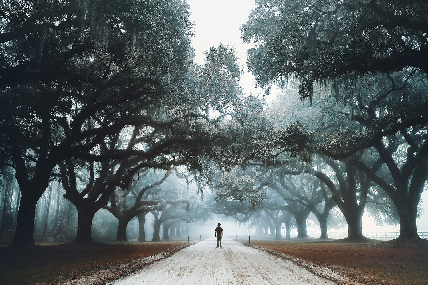 Raphaelle Monvoisin, Les Monarques, Charleston, North Carolina