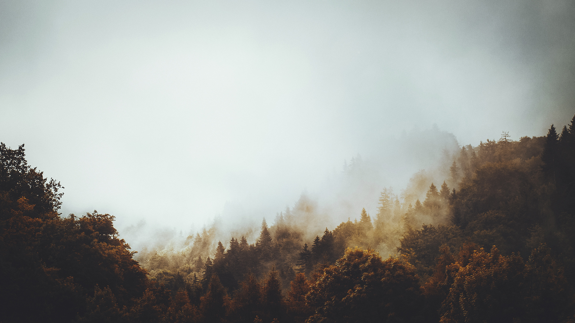 Raphaelle-Monvoisin_Home_Auric
