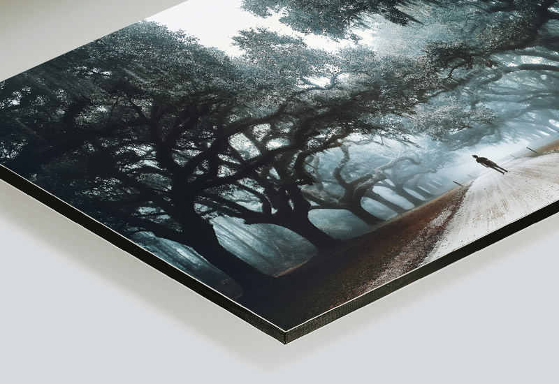 Raphaelle-Monvoisin_Print-art-dibond