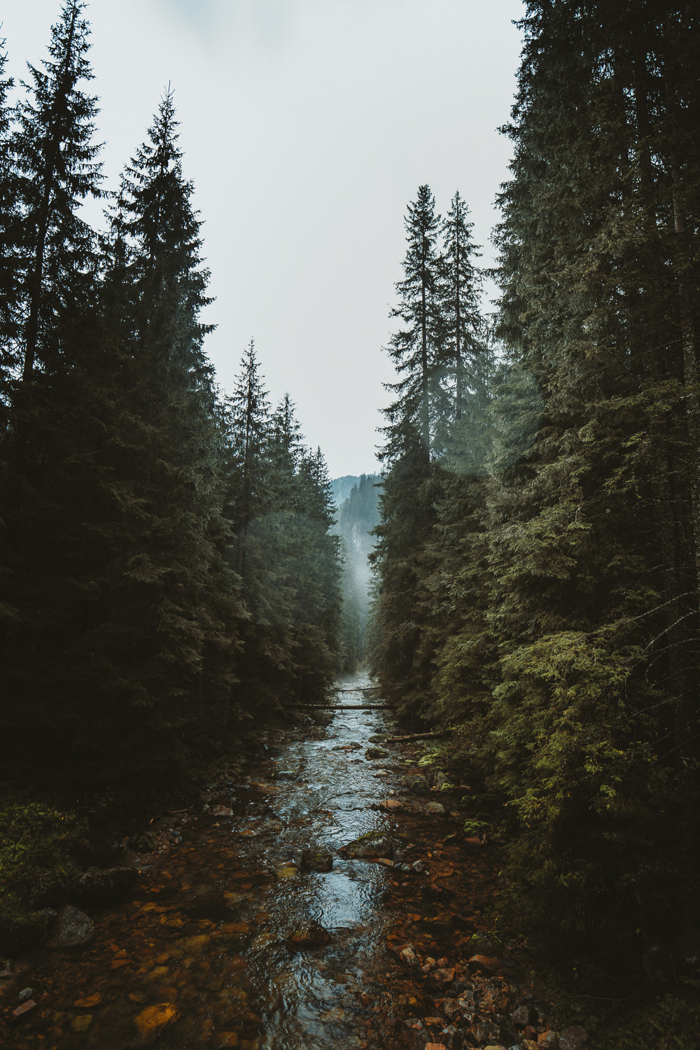 Raphaelle Monvoisin Poland Zakopane Tatras mountains nature travel adventure