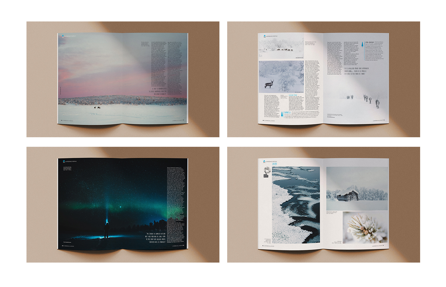 Raphaelle Monvoisin Lapland Canon photo arctic polar circle MDLP monde de la photo