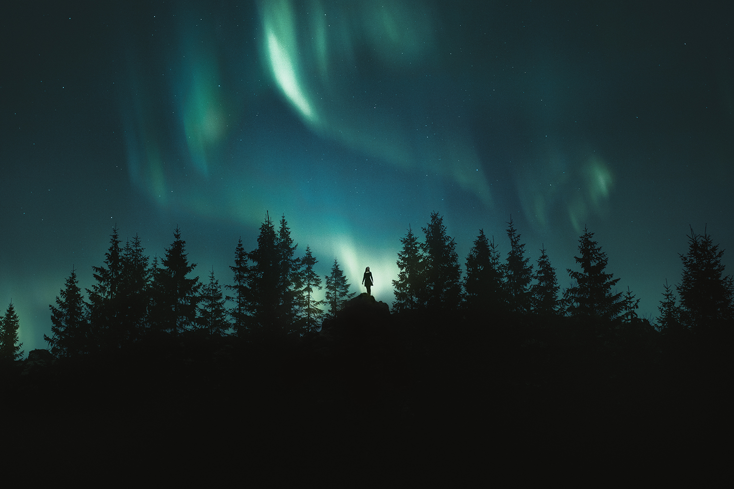iceland forest north arctic boreal forest northern lights aurora