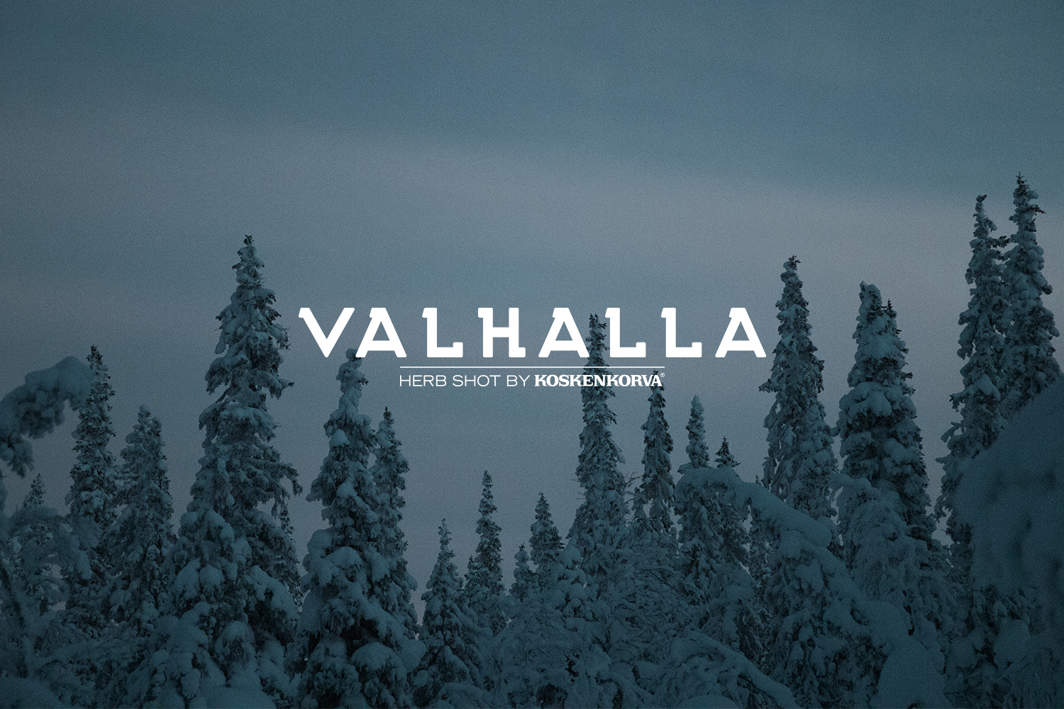 Raphaelle Monvoisin Valhalla herb liqueur liquor drink alcohol packshot product food still life photography