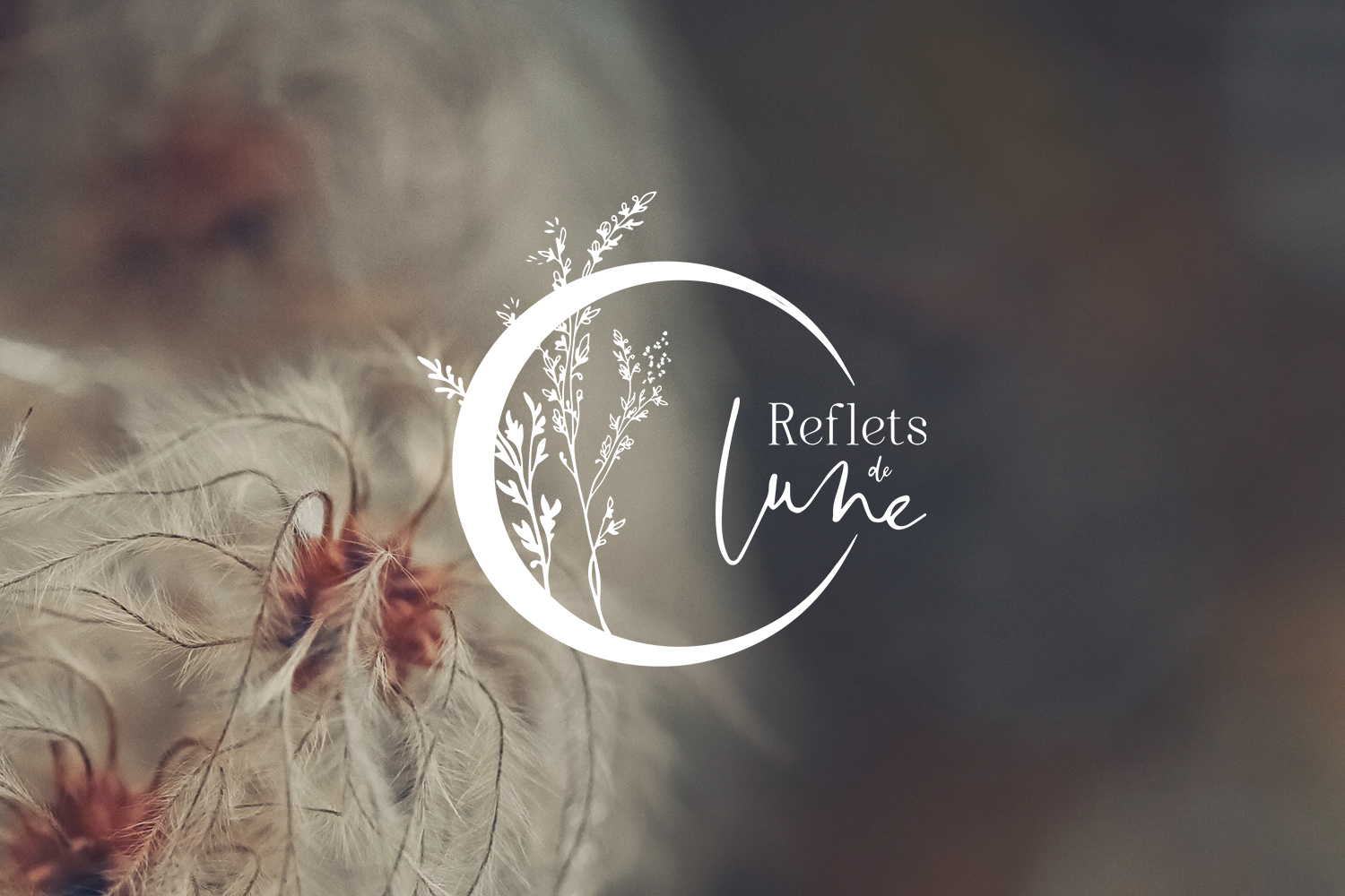 Reflets de Lune logotype branding jewellery jewels