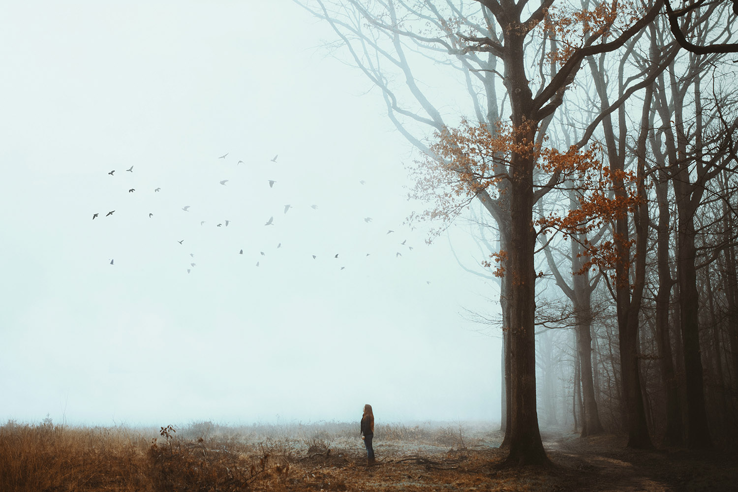 Raphaelle-Monvoisin-At-the-End-Silence-2