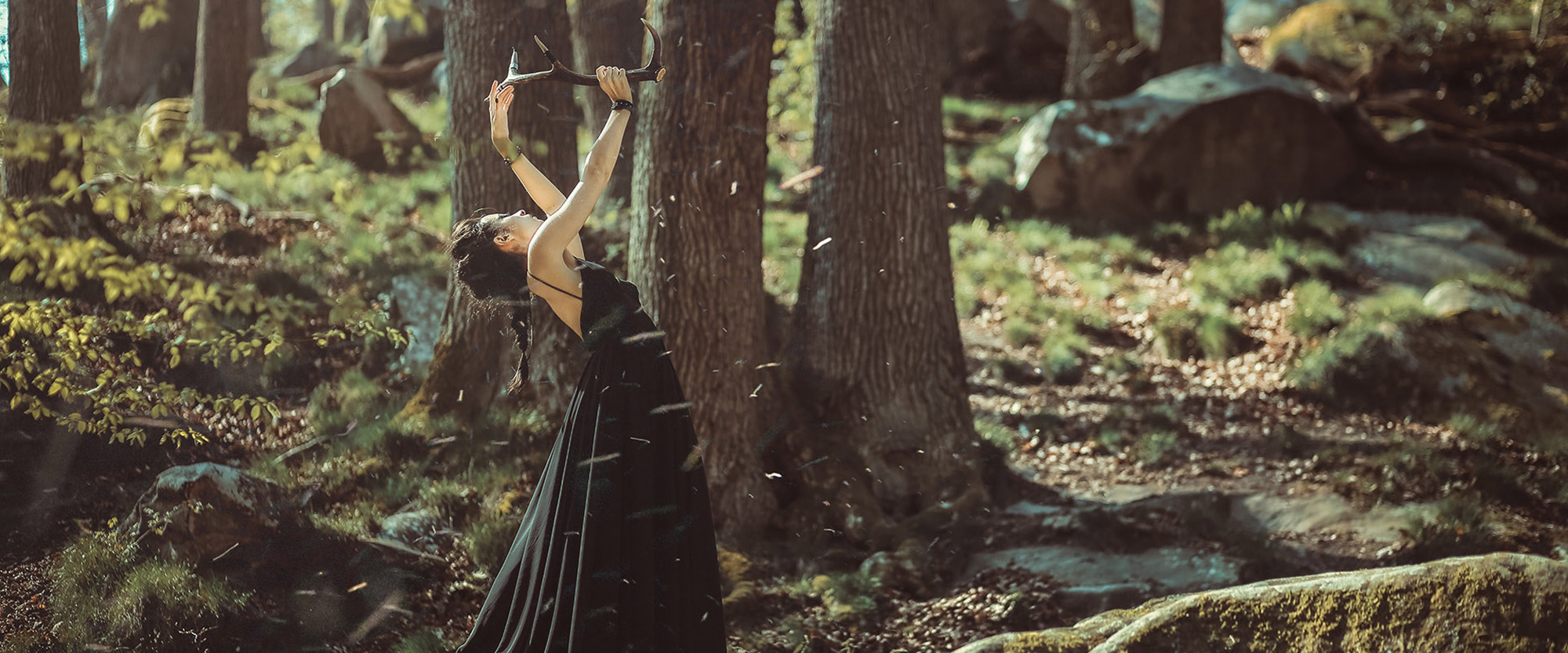 Raphaelle-Monvoisin_Moondust-banner-pano