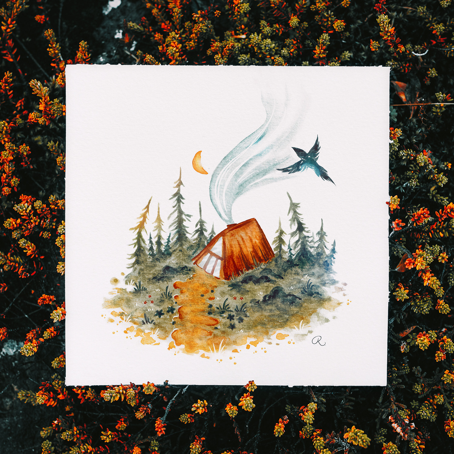 The-Lone-Hut-photo_LQ