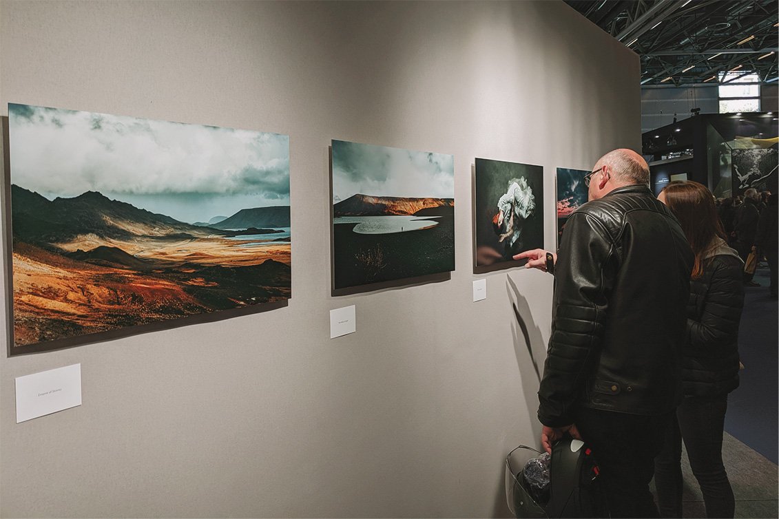 Raphaelle-Monvoisin_exhibitionI
