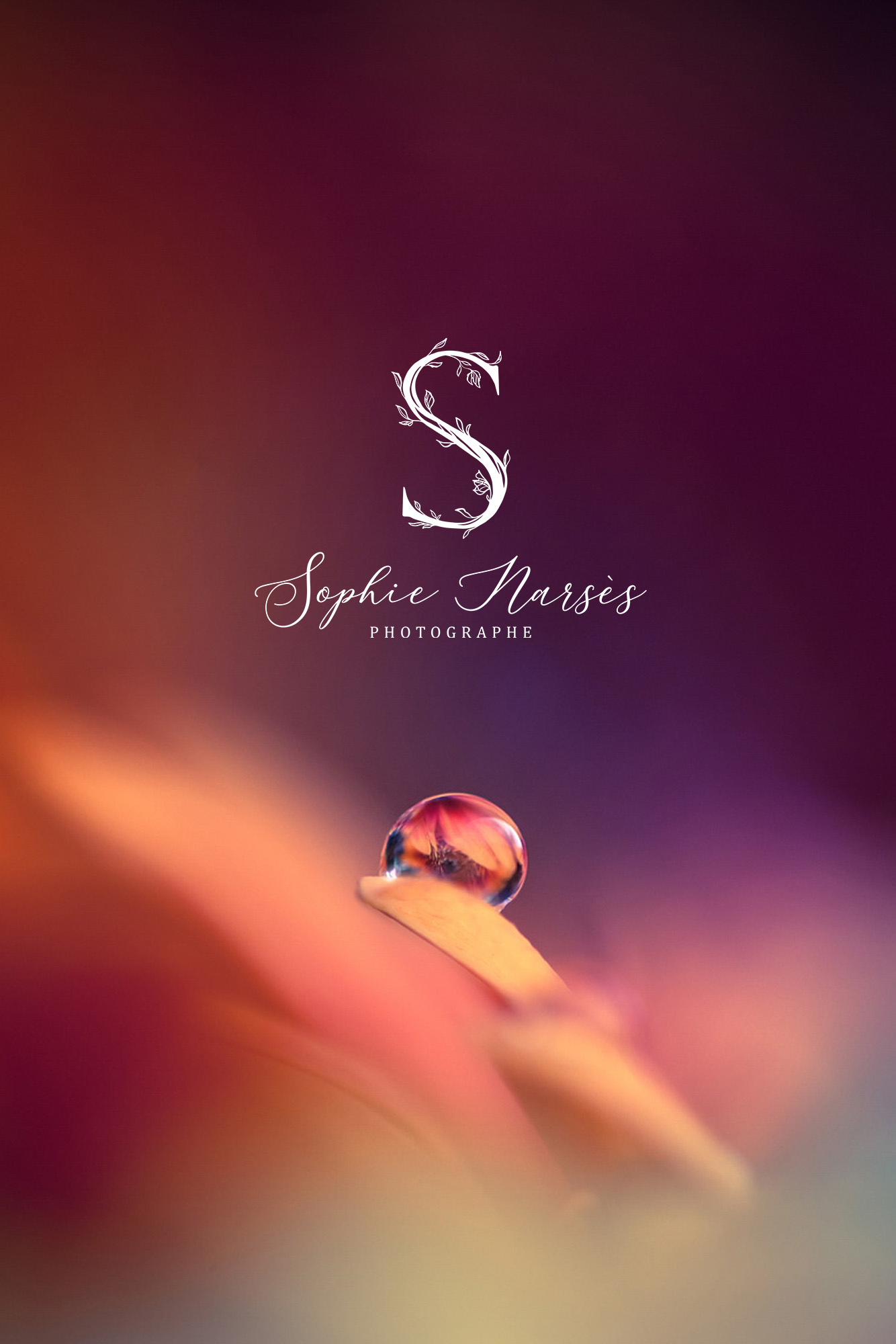 Raphaelle-Monvoisin_Logotype_09-Sophie-Narses