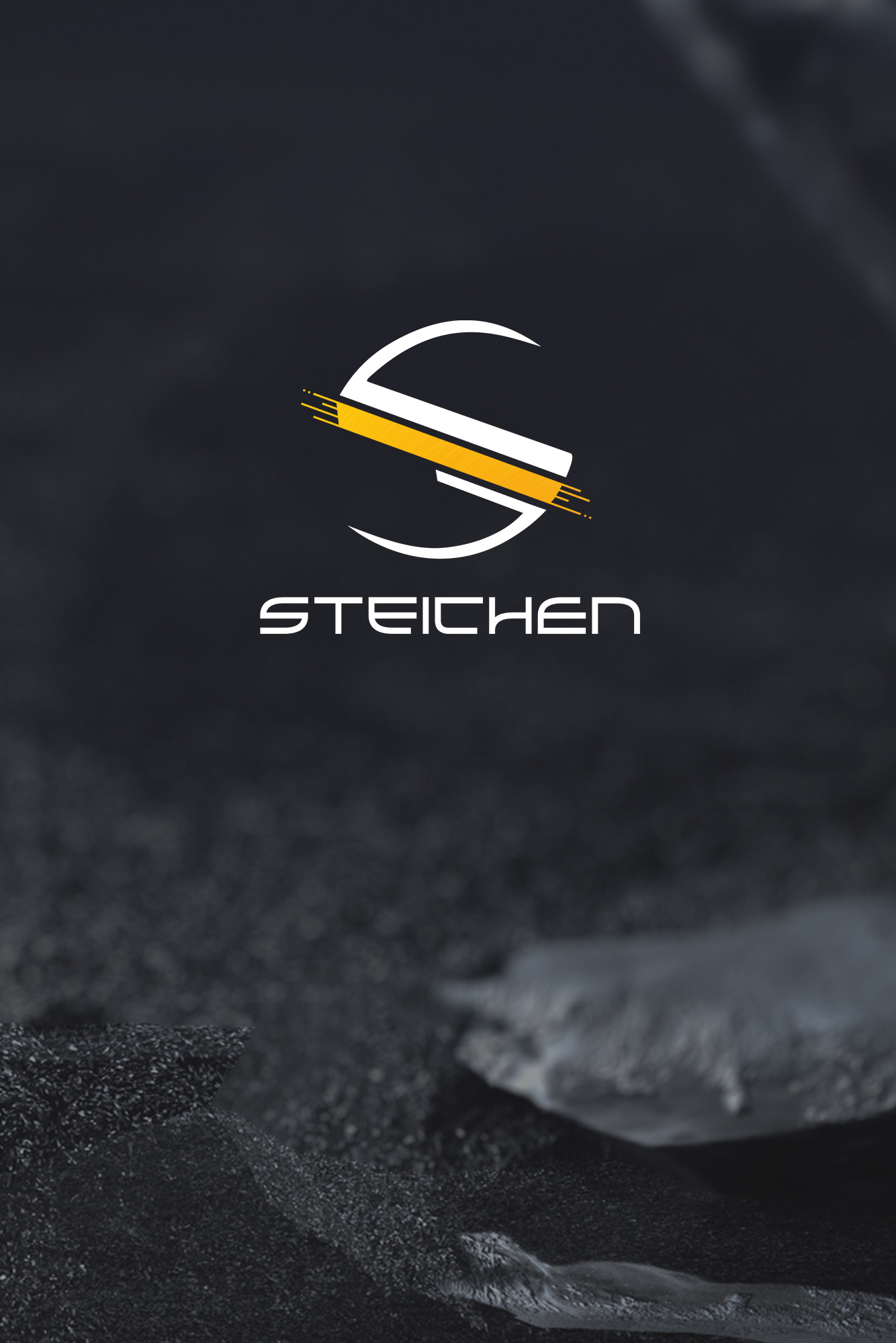 Raphaelle-Monvoisin_Logotype_18-Steichen-1