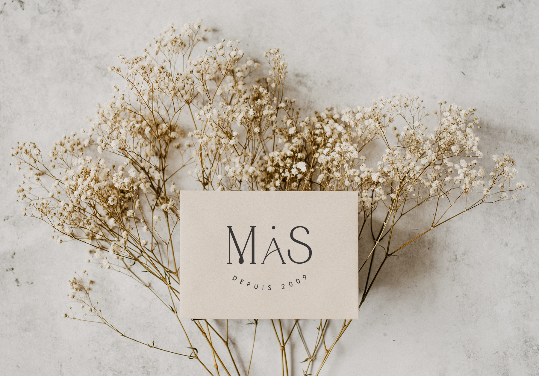 raphaelle-monvoisin_mariage-a-soie_cardMAS