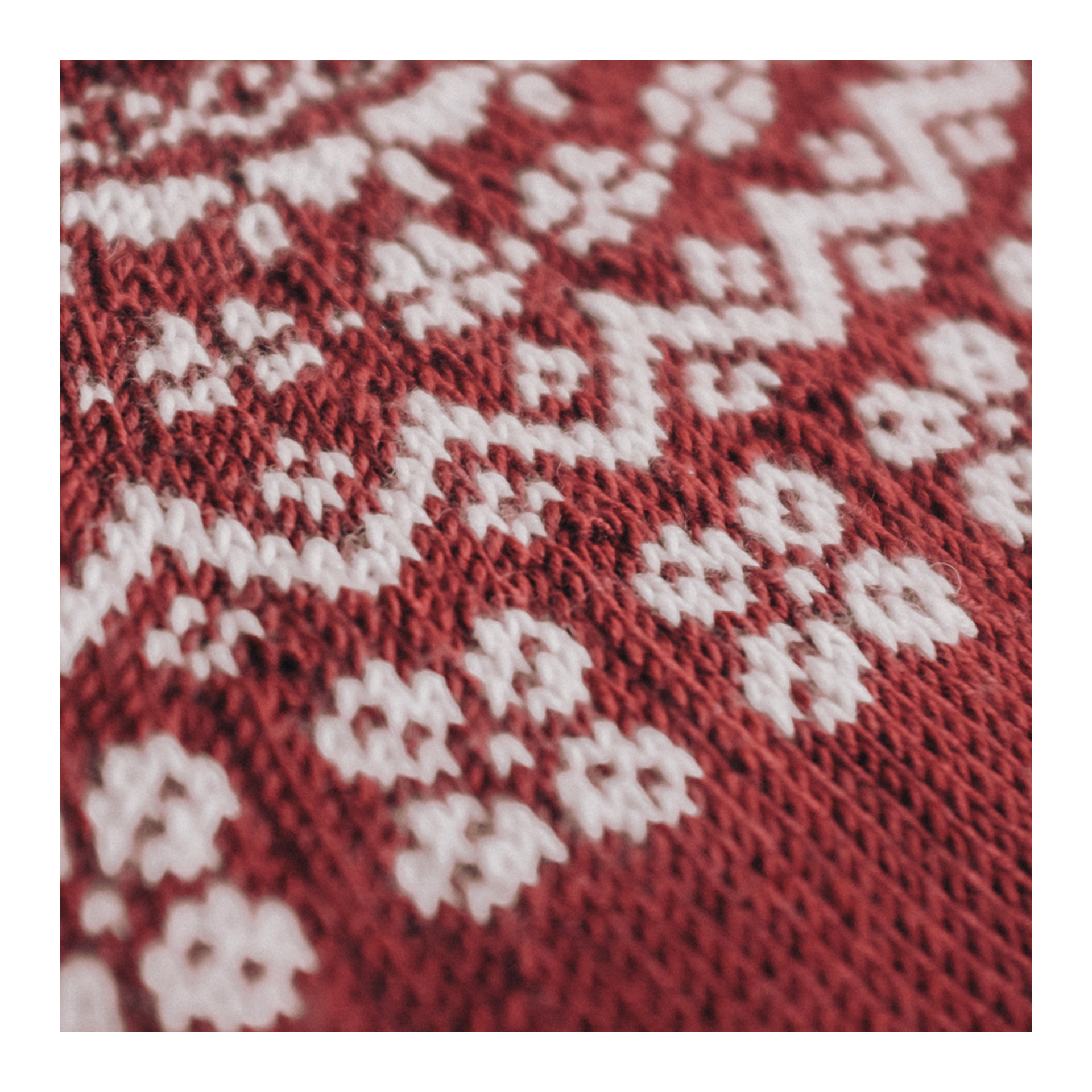 07.-Mini-Molly-Autumn-III